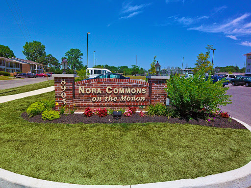 Welcome to Nora Commons, a vibrant community with beautiful landscaping.