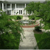 A serene courtyard featuring a central fountain surrounded by lush greenery and pathways.