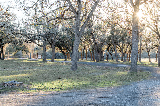 A serene park scene with tall trees and a winding path illuminated by soft sunlight.
