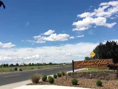 Amber Hills