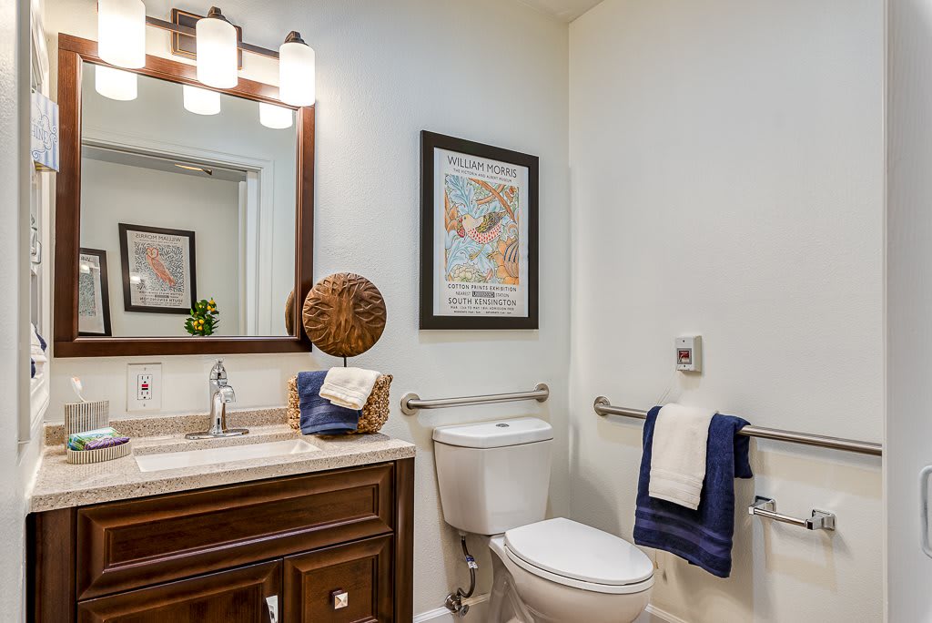 A well-lit bathroom with a sink, mirror, toilet, and decorative elements.