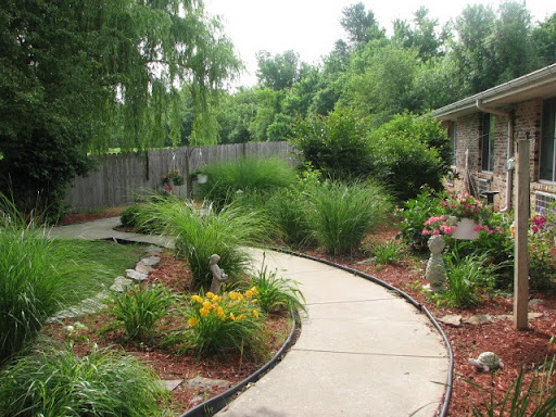 A serene garden featuring a winding pathway surrounded by lush plants and flowers.