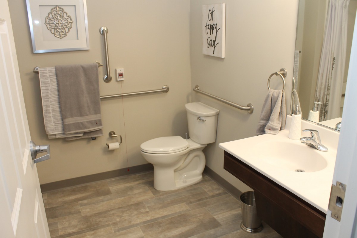 A modern, accessible bathroom with handrails, a toilet, and a sink.