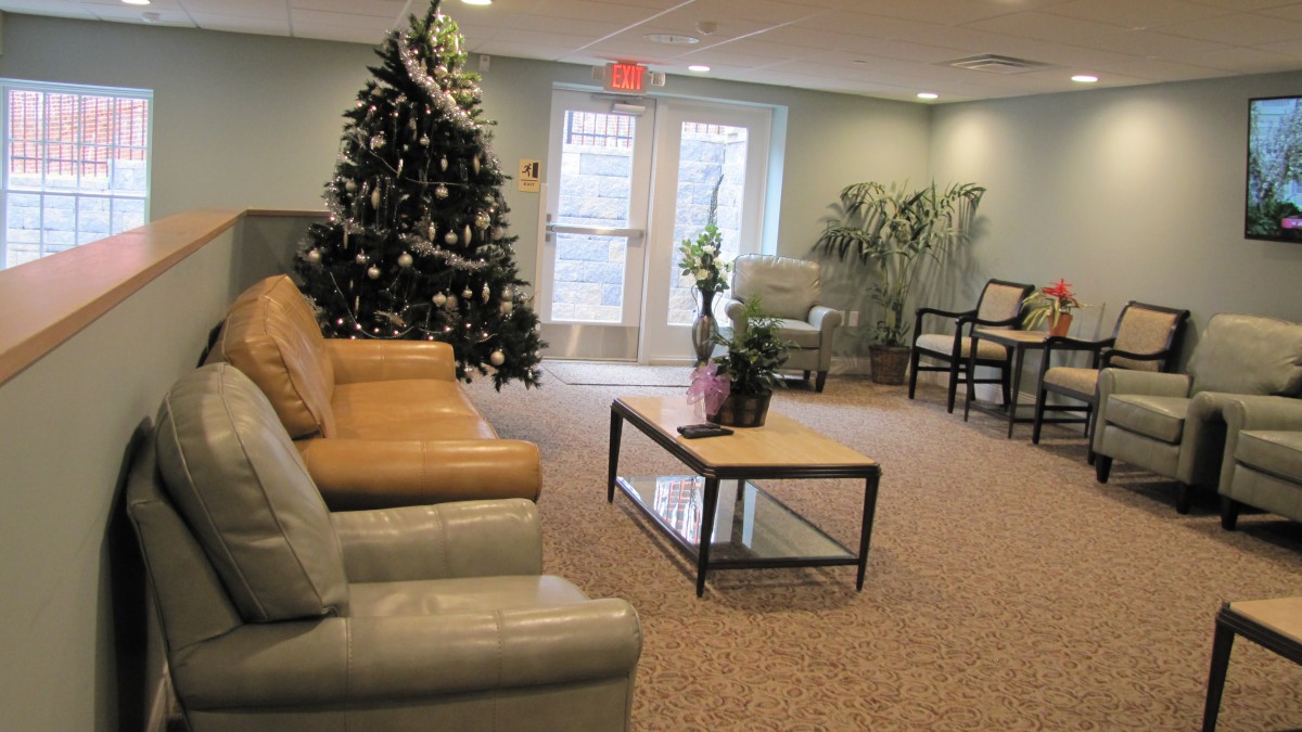 A cozy living room decorated with a Christmas tree and comfortable seating.