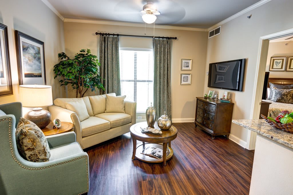 A cozy living room with a modern design, featuring a sofa, coffee table, television, and indoor plant on a wooden floor.