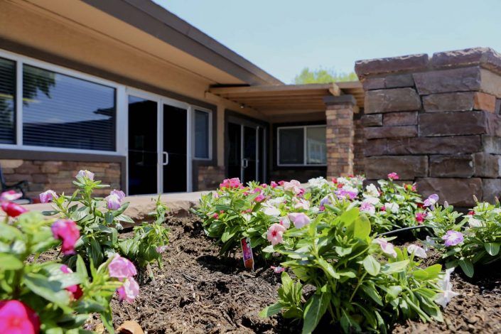 A beautiful garden with colorful flowers in front of a modern house.
