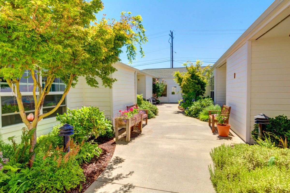 A sunny pathway surrounded by lush greenery and benches.