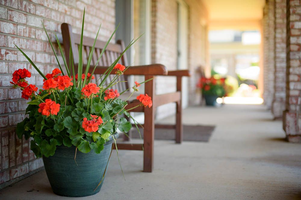 A cozy outdoor patio with a wooden bench and vibrant red geraniums in pots.
