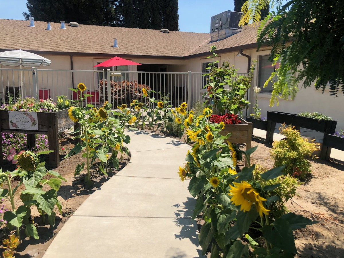 A sunny garden pathway lined with vibrant sunflowers leading to a cozy patio.