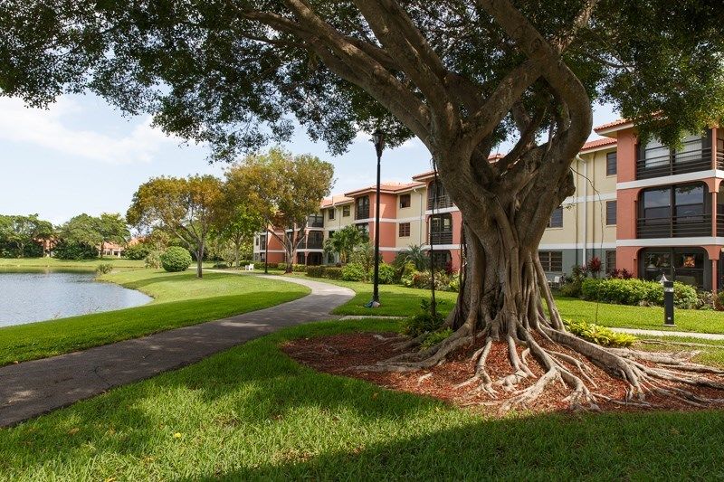 A scenic view of an apartment complex with a large tree and well-maintained greenery.