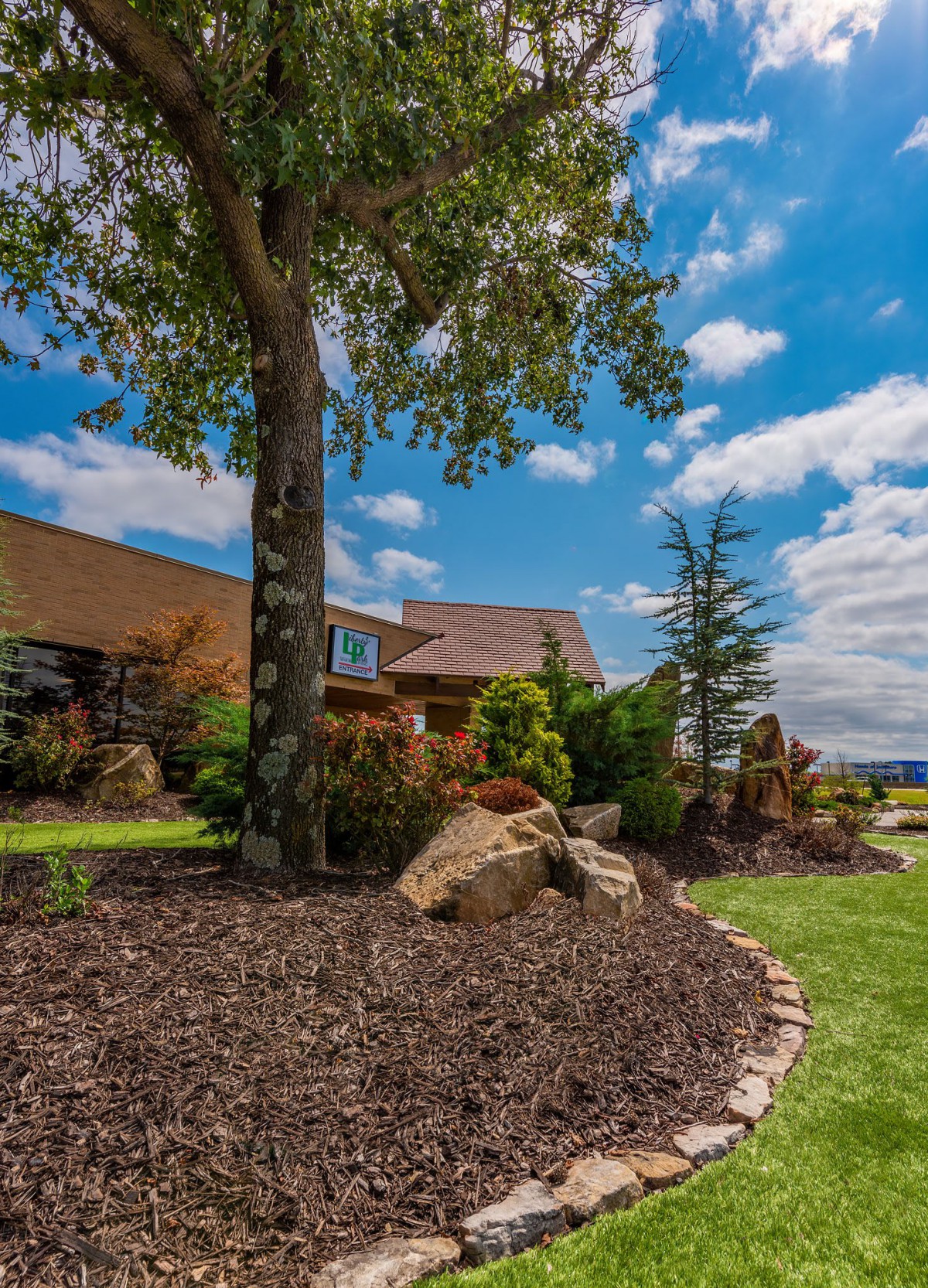 A beautifully landscaped garden with trees and rocks under a bright blue sky.