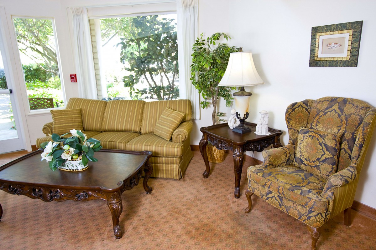 A cozy living room with a sofa, armchair, and coffee table, illuminated by a lamp and natural light from a large window.