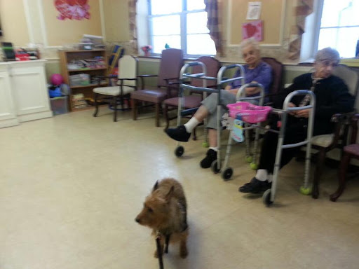 A dog interacts with residents in an assisted living facility.