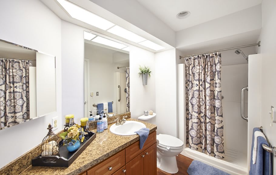 A well-lit bathroom with a decorative shower curtain and neatly arranged toiletries.