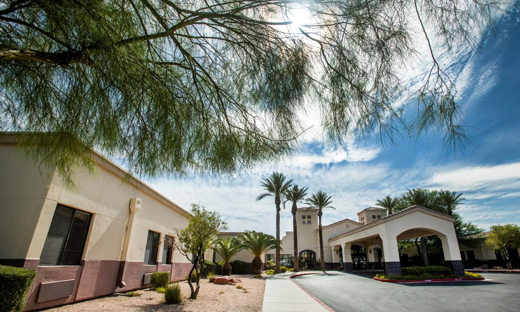 A sunlit building surrounded by desert vegetation and palm trees.