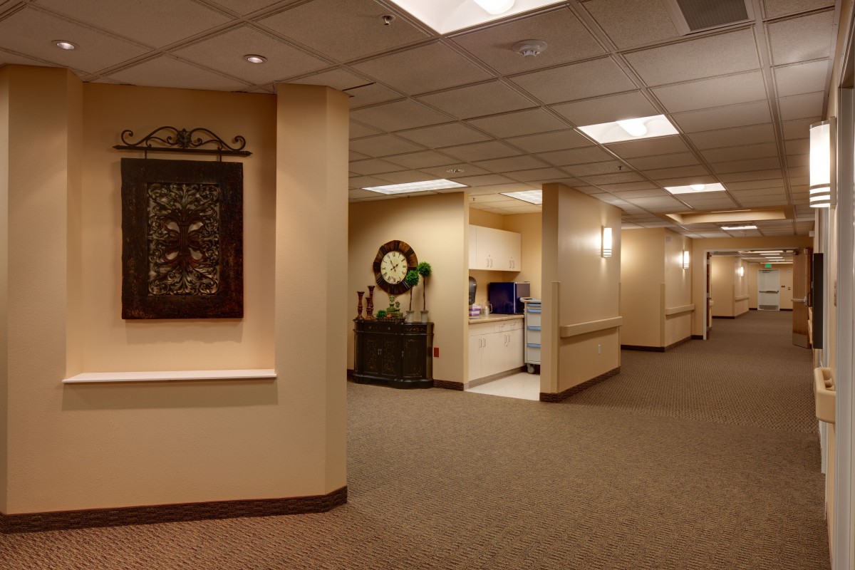 A well-lit office hallway with decorative elements and a reception desk.