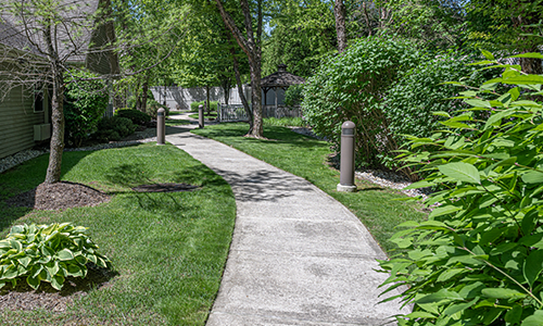 A peaceful garden pathway surrounded by lush greenery and trees.