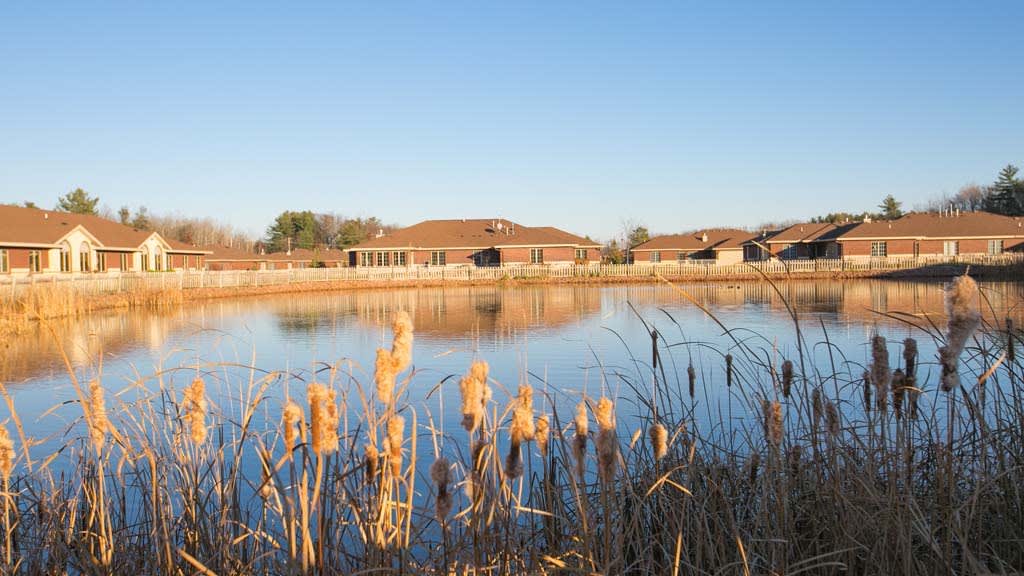 A serene lakeside view with suburban houses and reeds under a clear blue sky.