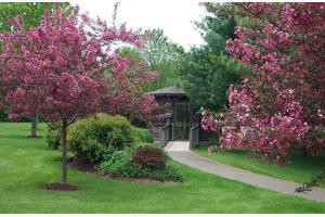 A scenic garden pathway lined with blooming trees and lush greenery.