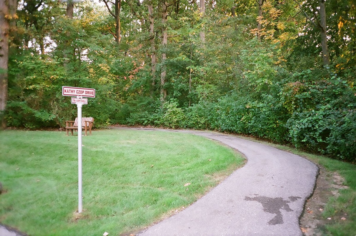 A paved path winding through a lush forest with a signpost on the side.