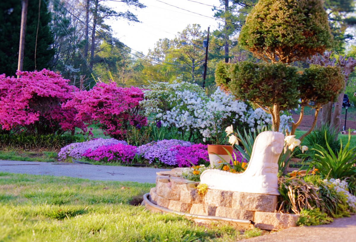 A vibrant garden scene with blooming flowers and a decorative sculpture.