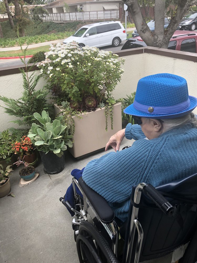 A person in a blue hat sitting in a wheelchair, enjoying a small garden area with various plants.