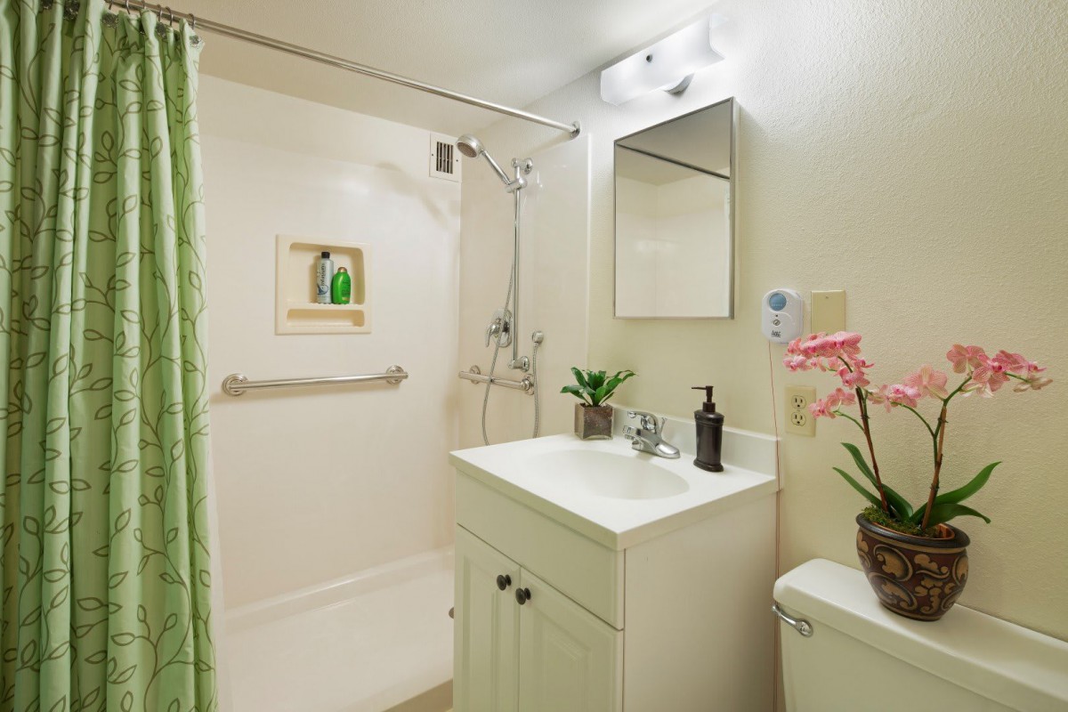 A clean and modern bathroom with a shower, sink, mirror, and decorative plants.