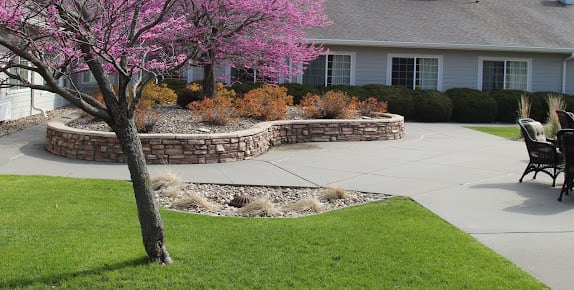 A beautifully landscaped garden with a stone wall, vibrant pink tree, and well-maintained lawn in front of a residential house.