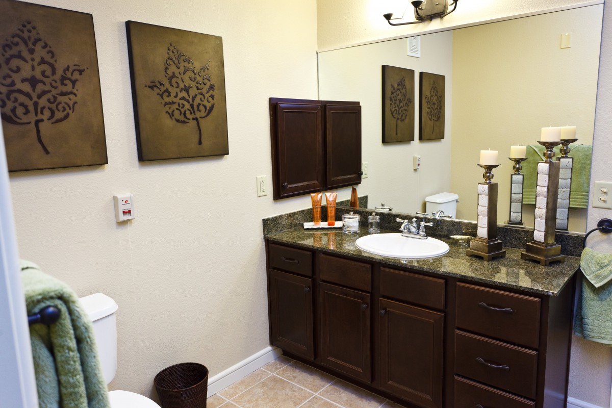 A bathroom interior with a sink, mirror, cabinets, and decorative artwork on the wall.
