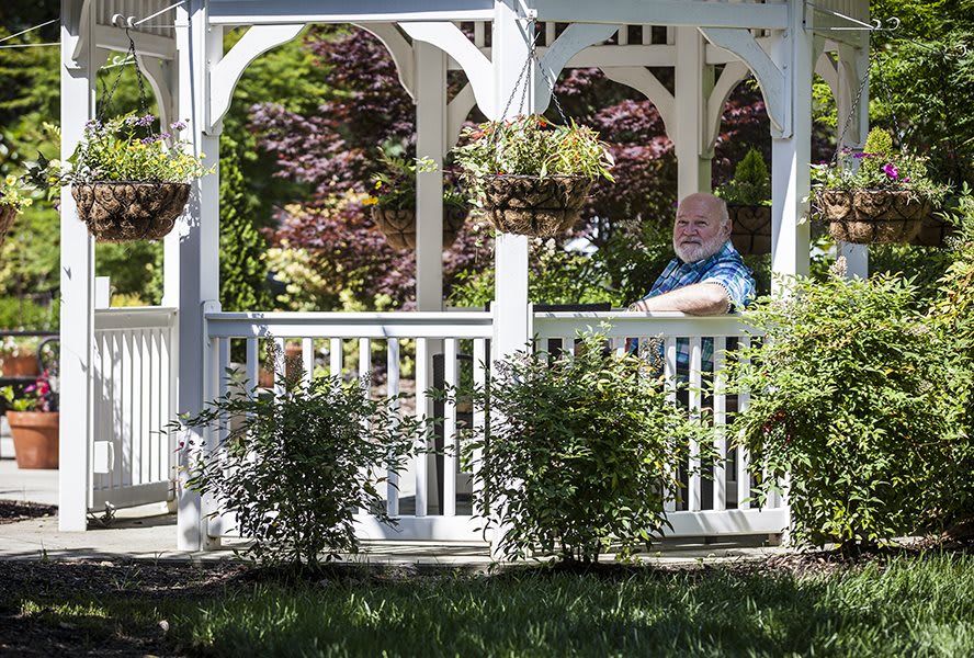 A man relaxing in a gazebo surrounded by a garden with trees and hanging plants.