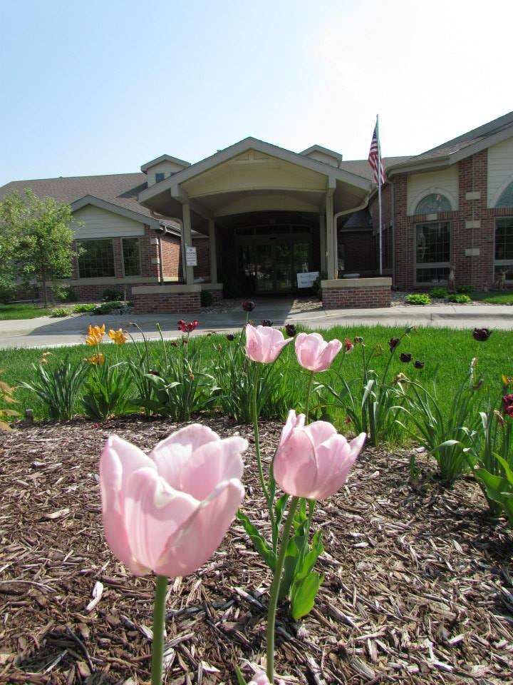 A garden with pink tulips in front of a large building.