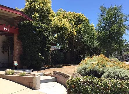 A serene garden with lush trees and well-manicured landscaping under a clear blue sky.