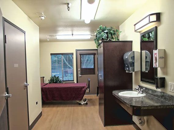 A clean and organized room with a sink, countertop, treatment table, and decorative plants.