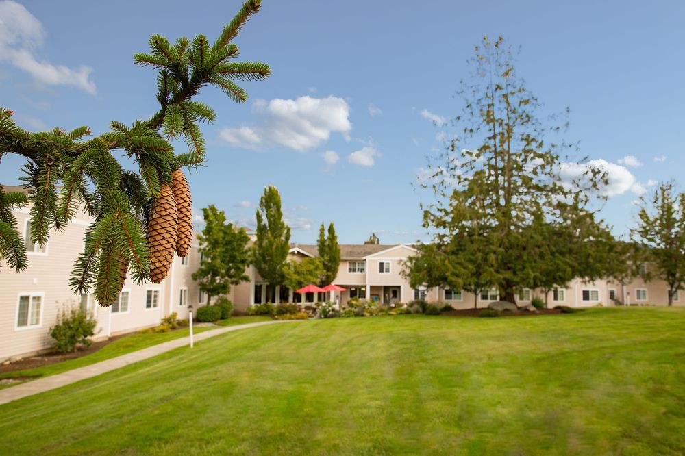 A peaceful residential area with a well-maintained lawn and surrounding trees under a clear blue sky.