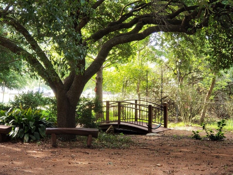 A serene park setting with a wooden bridge under a large tree.