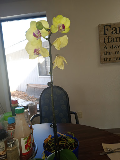 Lakeside Assisted Living - Sandpoint