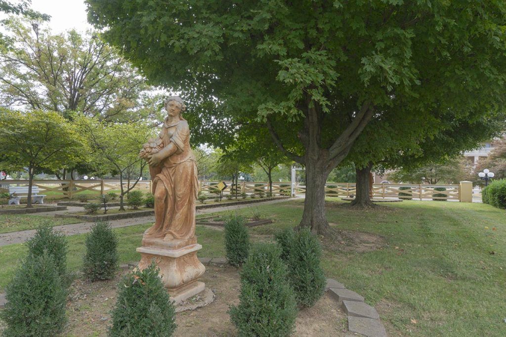 Fern Terra Of Owensboro