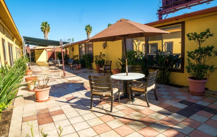 A sunny outdoor patio area with tables, chairs, and umbrellas surrounded by plants.