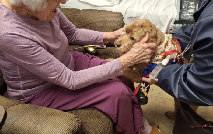 An elderly person gently petting a dog indoors while sitting on a couch.