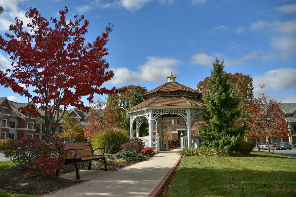 A scenic park setting with a gazebo, surrounded by autumn foliage and a clear blue sky.