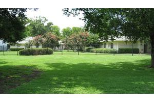 A well-maintained lawn with trees and shrubs on a sunny day.