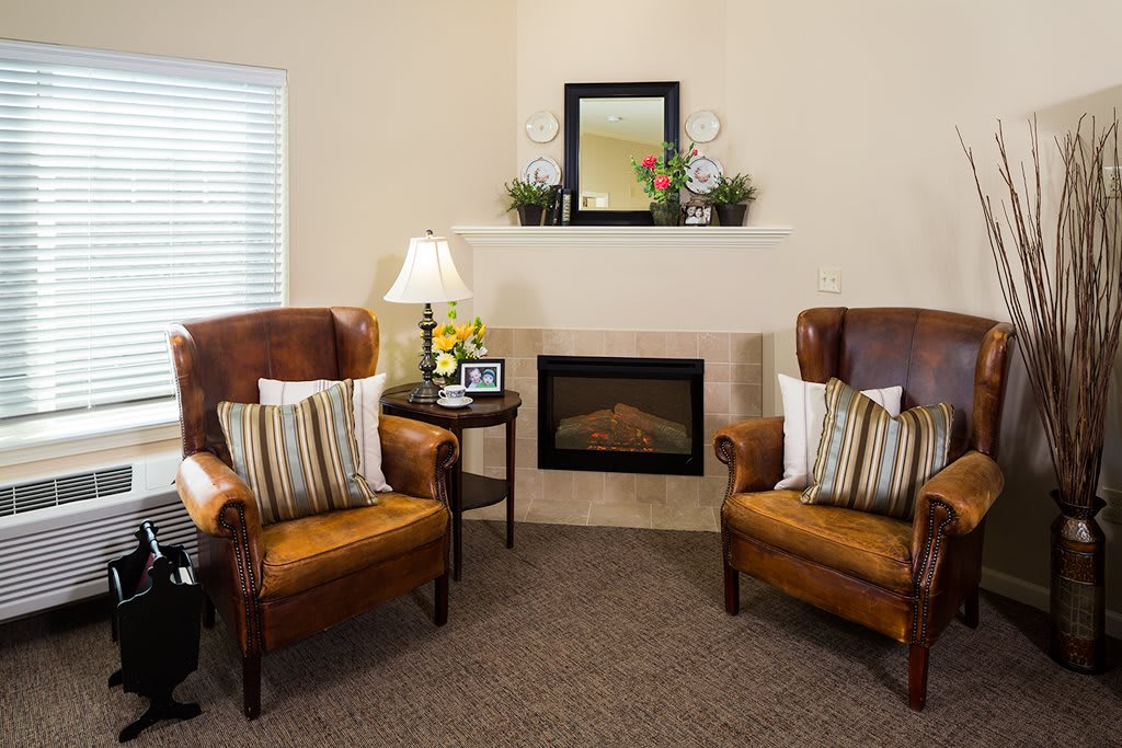 A cozy living room with two leather armchairs facing each other by a fireplace, decorated with cushions and indoor plants.