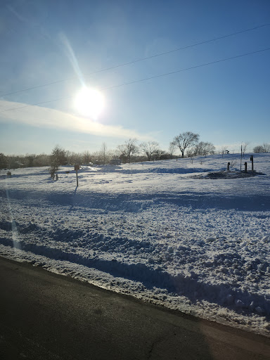 A beautiful winter landscape bathed in sunlight, featuring a snowy field and trees.