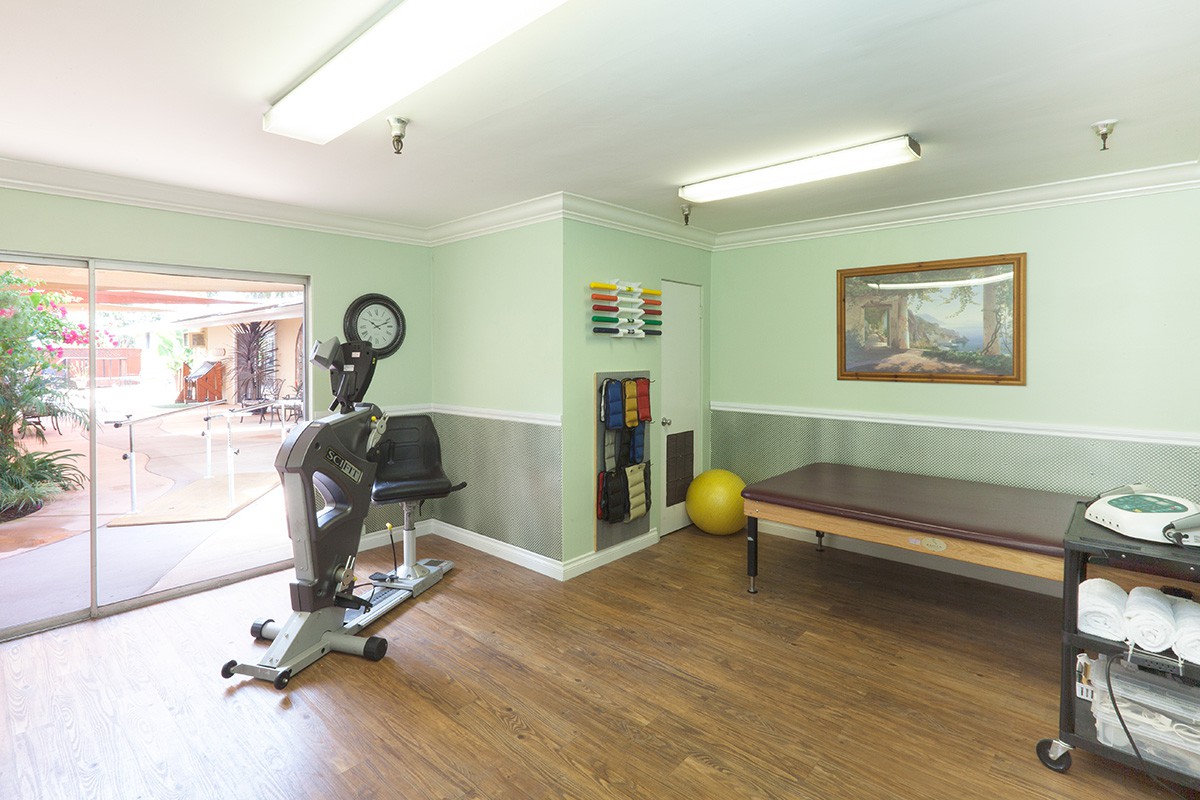 A bright physical therapy room featuring exercise equipment and a padded table.