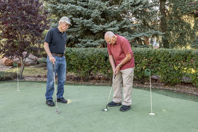 Two elderly men enjoying a game of golf on a putting green.