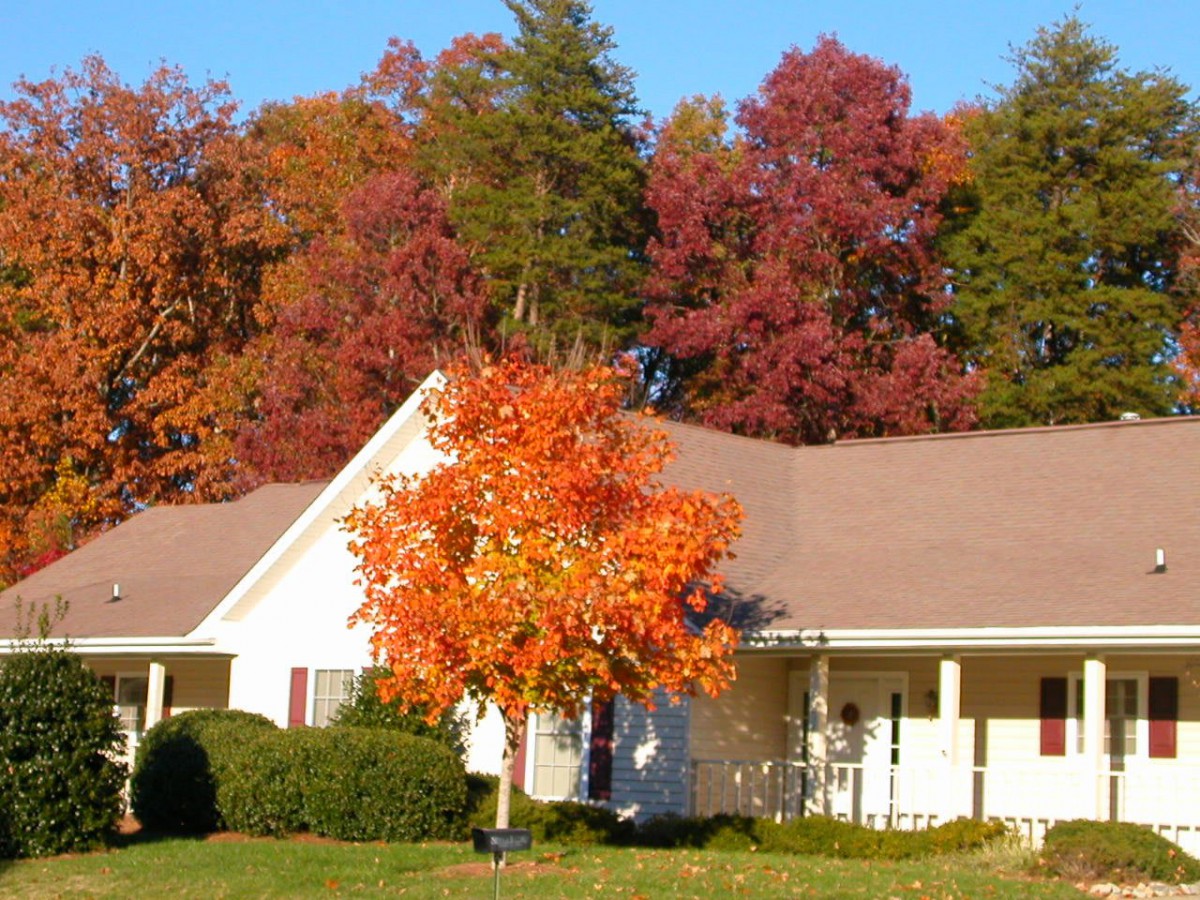 A house surrounded by vibrant autumn foliage and colorful trees.
