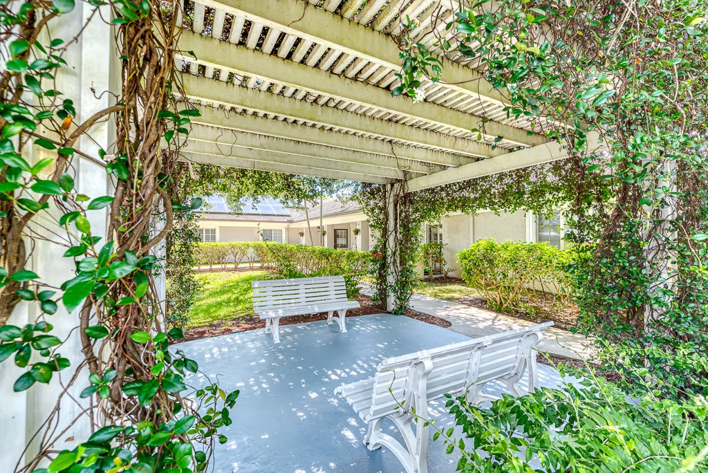 A serene outdoor pergola covered with lush vines and featuring white benches.