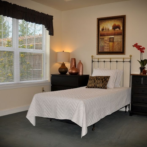 A cozy bedroom featuring a single bed, elegant decor, and natural light streaming through the window.
