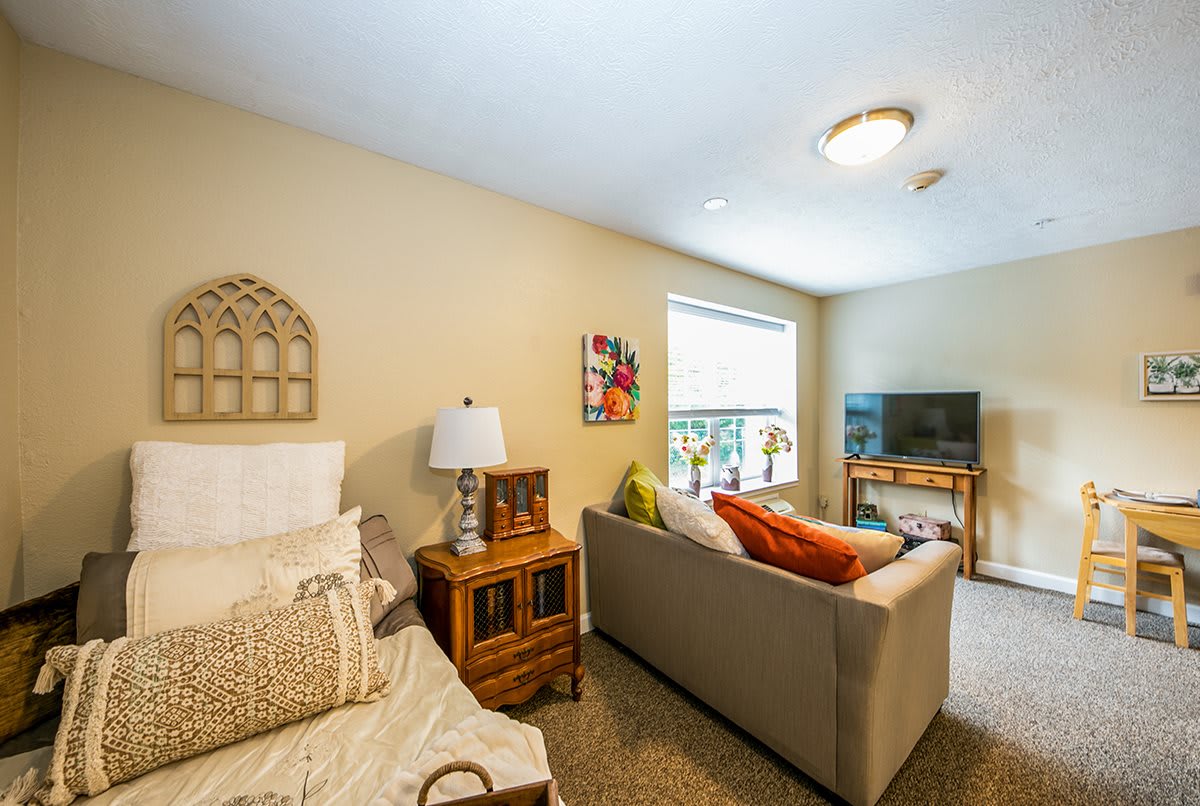 A cozy room featuring a bed, sofa, and a TV with natural light coming through the window.