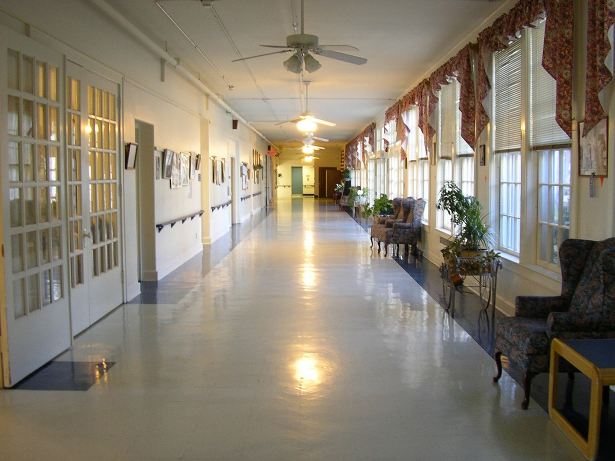 A well-lit, empty hallway with windows, decorated with plants and chairs along the sides.
